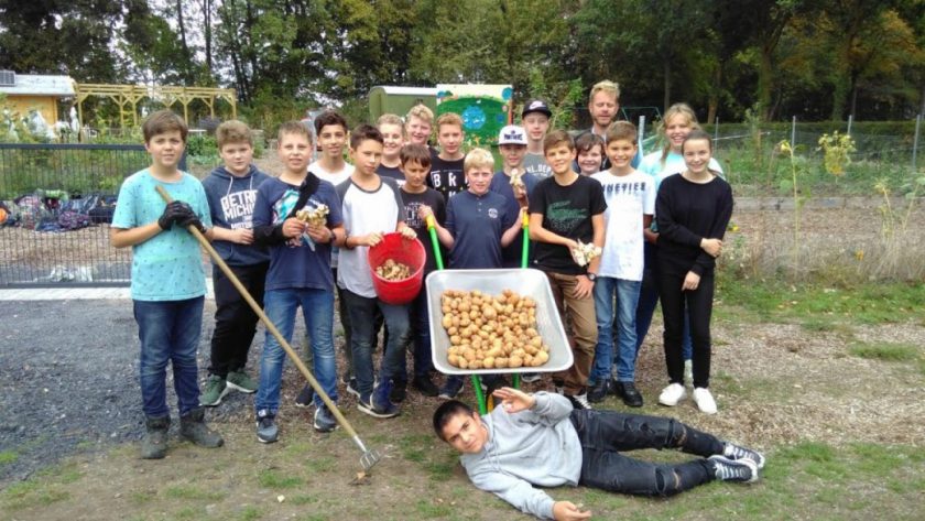 Teamschüler ernten Kartoffeln und Topinambur