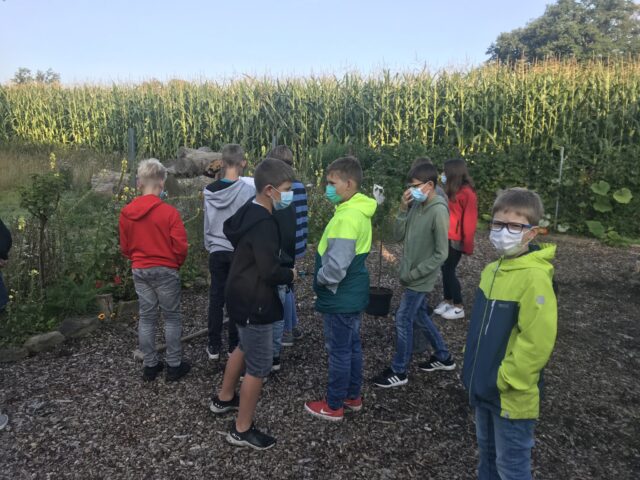 Baumpflanzaktion des 5. Jahrgangs