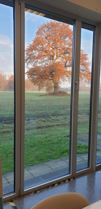 1. Dezember