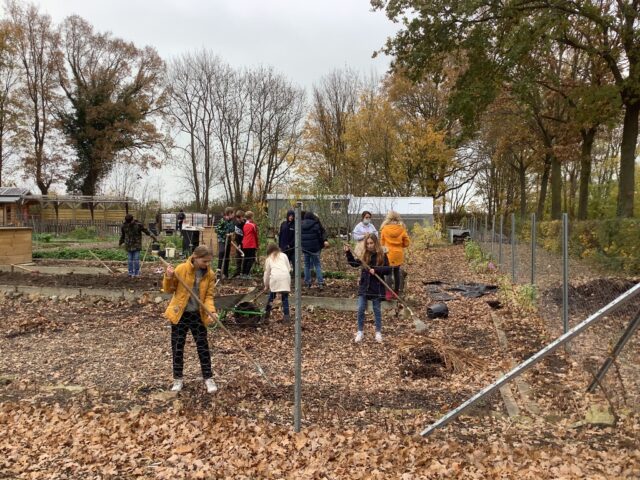 Herbstliches Arbeiten Schulgarten