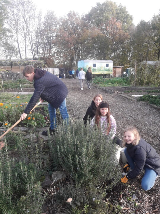 Aktionstag im Schulgarten am 11.11.22