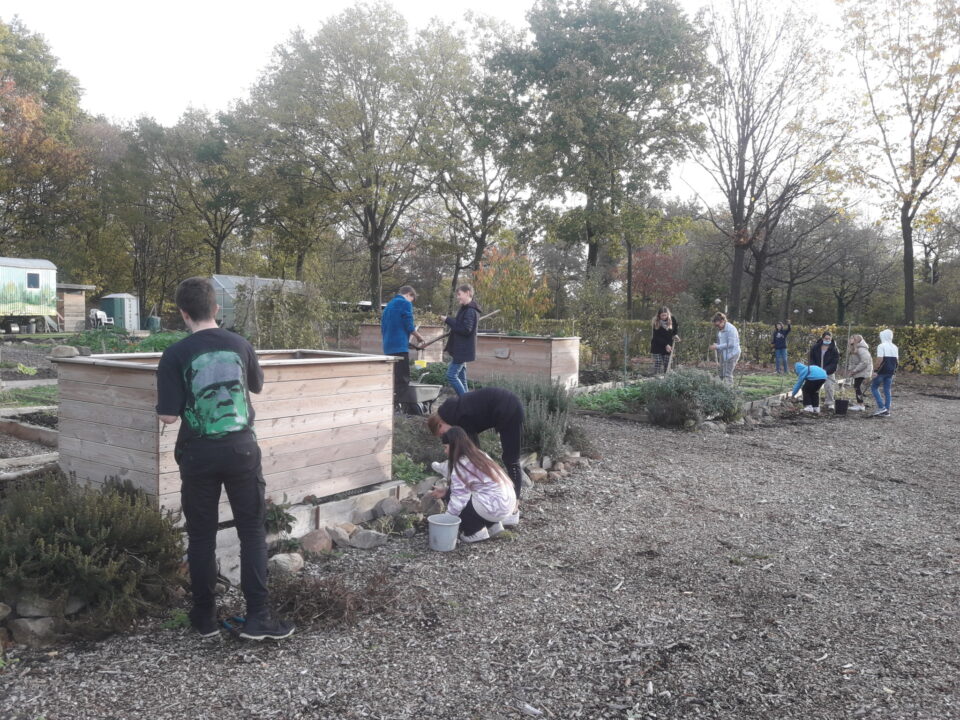 Aktionstag im Schulgarten am 11.11.22