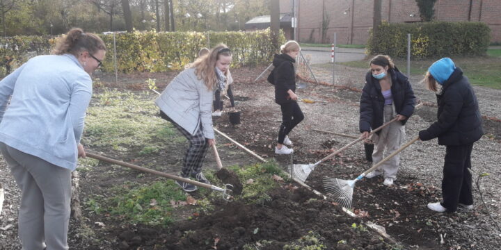 Aktionstag im Schulgarten am 11.11.22