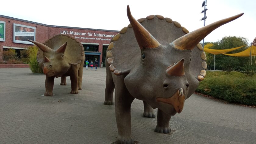 Den Weltraum erkunden – 9er zu Besuch im Planetarium und LWL-Naturkundemuseum